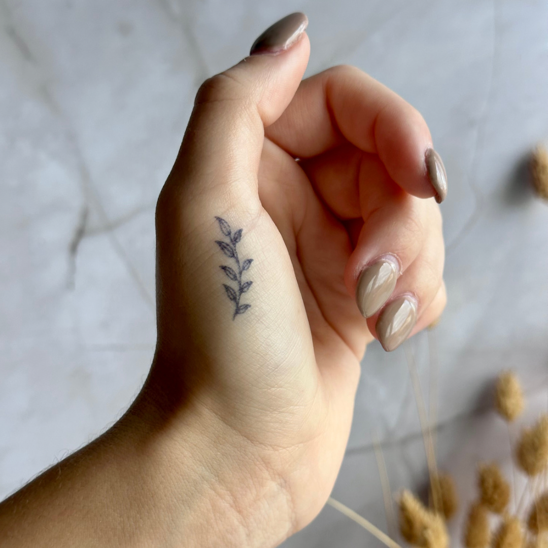 Plante de tatouage temporaire